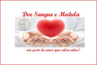 Aprovado Projeto de Lei que Institui a semana de doação de sangue e de Medula Óssea.