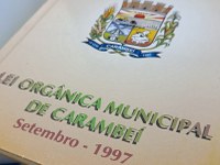 Vereadores atualiza dispositivos legais sobre delegação de competências e prazos orçamentários