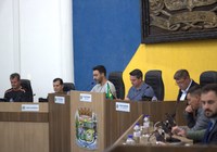 Carambeí terá programa para retirada de animais de grande porte das vias públicas