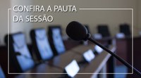 Confira a pauta da 23ª sessão ordinária 