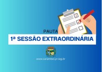 Pauta da 1ª Sessão Extraordinária 