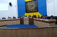 Vereadores analisam novos projetos e votam requerimentos em sessão ordinária
