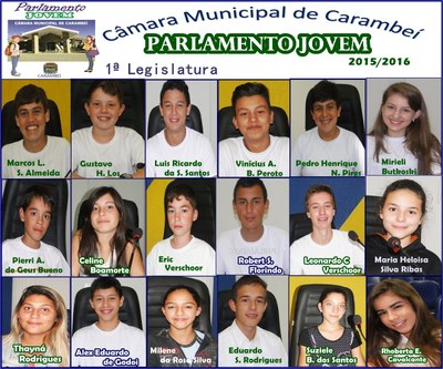 1ª Legislatura 2015/2016